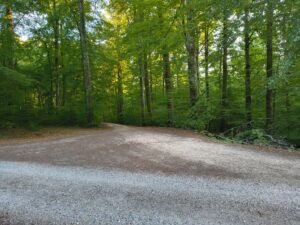 Camping im Spreewald: Natur, Fließe und freie Plätze
